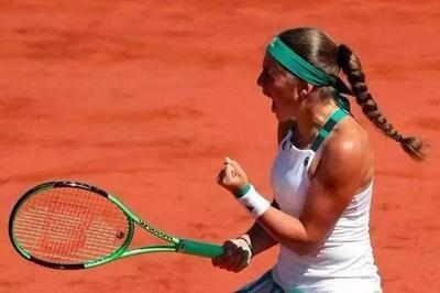 森林狼成功 森林狼成功