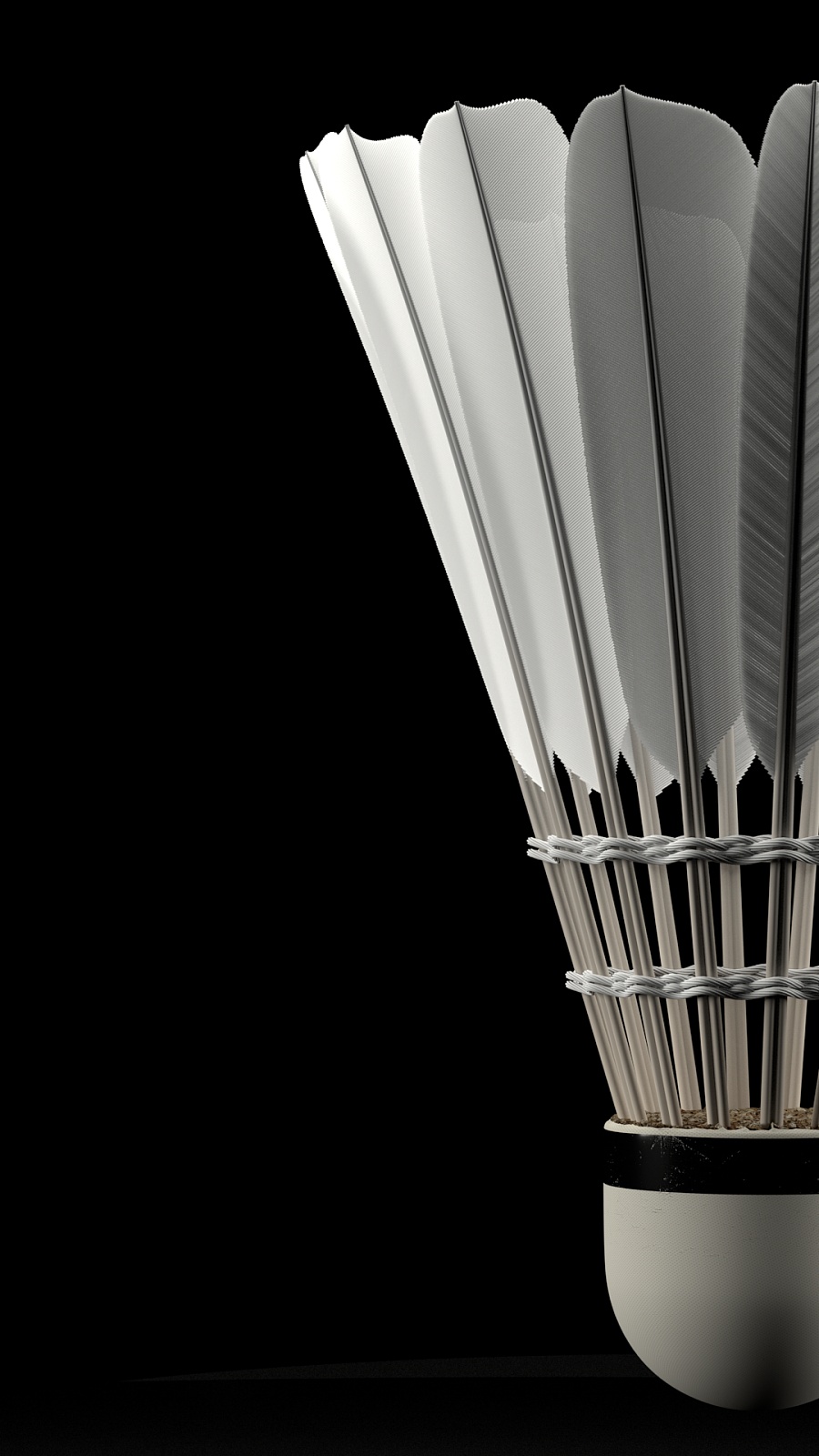 了一个强有 了一个强有