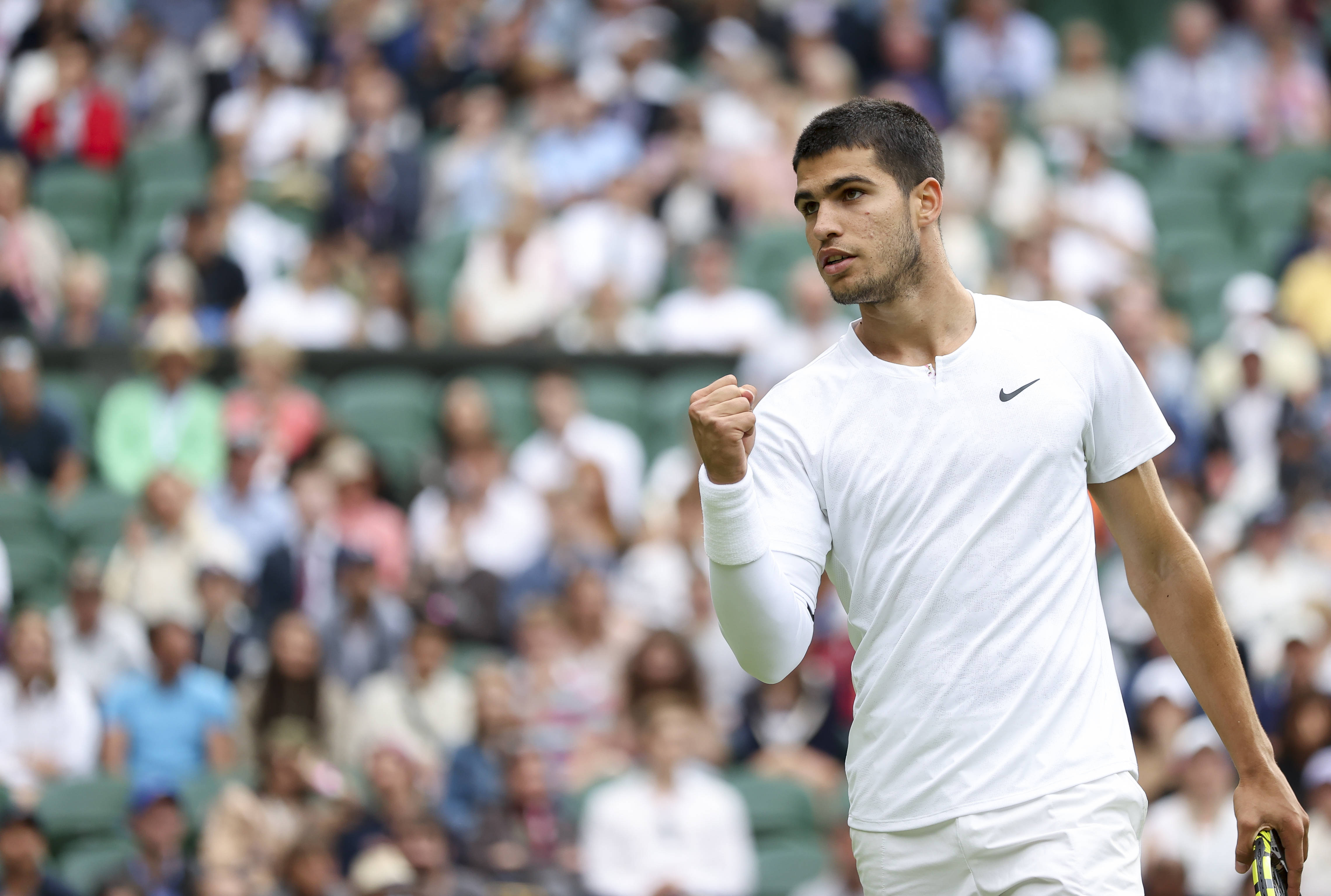 鸟是决定胜 鸟是决定胜